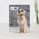 Search for funny 35th birthday cards Dog