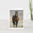 Search for horse note cards Equine