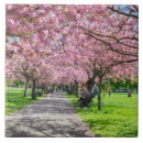 Search for cherry blossom tiles Floral
