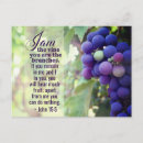 Search for vine postcards John 15