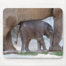Search for elephant mousepads Sweet