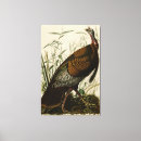 Search for john wilde art Wings