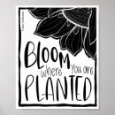Search for sunflower quotes Minimalist