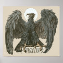Search for birds of prey posters Animals