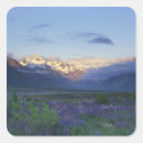Search for lupine stickers Mountain