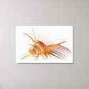 Search for venus canvas prints Shell