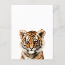 Search for little tiger postcards Jungle