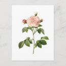 Recherche de redoute cartes postales Nature