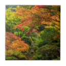 Search for japanese garden tiles Fall