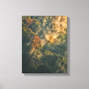 Search for autumn mist art Tree