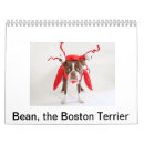 Recherche de boston terrier calendriers Chiot