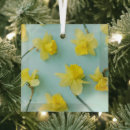Search for daffodil ornaments Nature