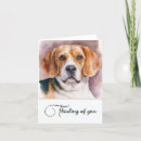 Search for beagle note cards Pets