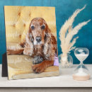 Recherche de animaux articles Chats