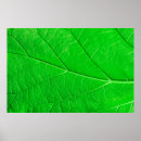 Search for ecological posters Leaf