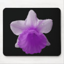 Search for daffodil mousepads Nature