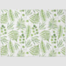 Search for botanical tissue paper Eucalyptus