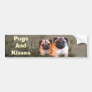 Search for pug bumper stickers Puppy