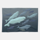 Recherche de baleine cuisine linges Sauvez les baleines