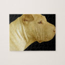 Search for shar pei puzzles Dog