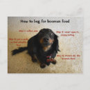 Search for pet food postcards Funny