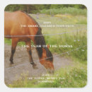 Search for year of the horse stickers Animal
