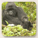 Recherche de mcdonald dessous de verres Herbivore