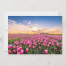 Search for holland cards Nature