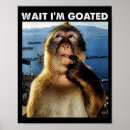 Search for funny monkey memes posters Brainrot