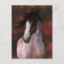Search for equines postcards Horse