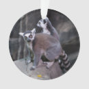 Search for lemur ornaments Wildlife