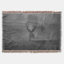 Search for misty blankets Wildlife