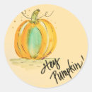 Search for hey stickers Pumpkin