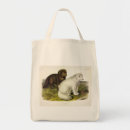 Search for snow white tote bags Illustration