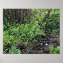 Search for includes posters Stream