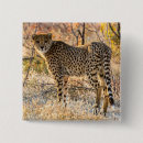 Search for spotted buttons Wildlife