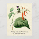 Recherche de oiseaux mer cartes postales Pour elle