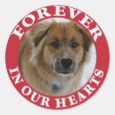 Search for pet memorial stickers Forever in our hearts