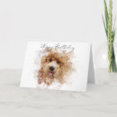 Search for golden doodle puppies cards Labradoodle