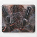 Recherche de consommateur tapis souris Terrier