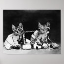 Search for vintage cat pictures posters Pets