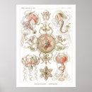 Recherche de modèle anatomique posters Rétro