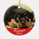 Search for dated ornaments Animal