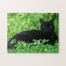 Recherche de trèfle puzzles Nature