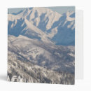 Search for frozen binders Photography