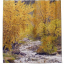 Search for scenic shower curtains Tree