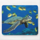 Recherche de tortue verte tapis souris Mer
