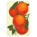 Recherche de caisse orange magnets Oranges