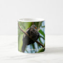 Search for homing pigeon mugs Nature