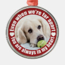 Search for relationship ornaments Typography